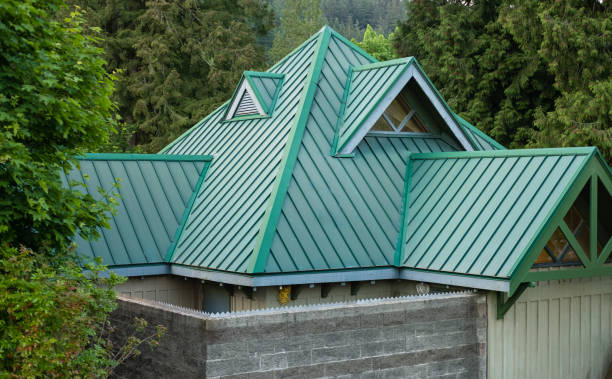 Best Roof Leak Repair  in Terrell Hills, TX