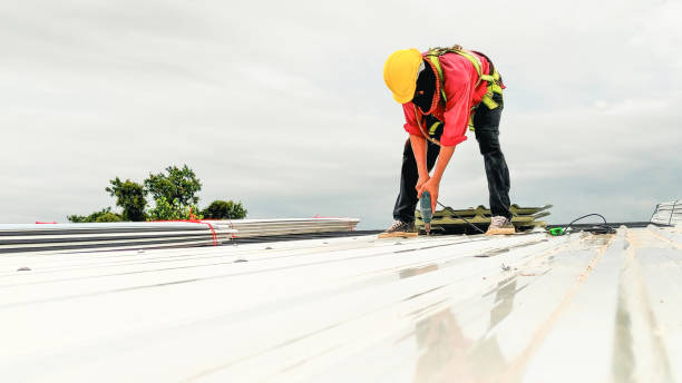 Best Gutter Installation and Repair  in Terrell Hills, TX